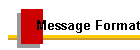 Message Format