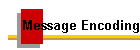 Message Encoding